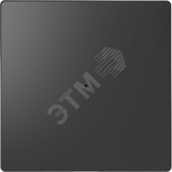 Клавиша D-Life PlusLink 1-ная без символов антрацит SD