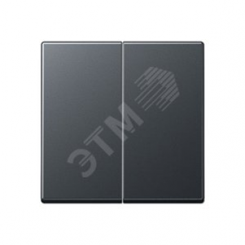 Клавиша 2-я для выключателей и кнопок без подсветки. Серия A500 Материал- термопласт Цвет- матовый антрацит (A595BFANM)