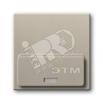 BASIC 55 Плата центральная (накладка)для механизма док-станции Busch-iDock 8218U шампань (8200-0-0159)