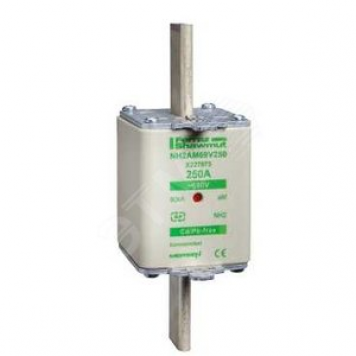 Предохранитель тип GG размер 1 250А (DF2KA1401)