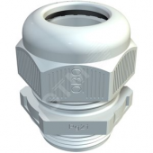 Кабельный ввод PG13,5 (V-TEC PG13.5 SGR)