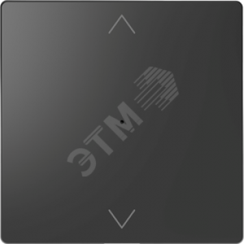 Клавиша D-Life PlusLink 1-ная с символами вх/вз антрацит SD (MTN5215-6034)