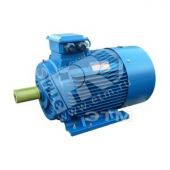 Электродвигатель 5АИ 180 S4 22/1500 IM 1001 Китай (5АИ 180 S4 22/1500 IM 1001 Китай)