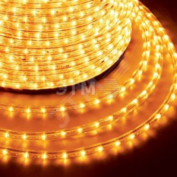 Дюралайт LED, постоянное свечение (2W) - желтый Эконом 24 LED/м , бухта 100м (121-121-4)