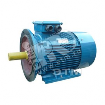 Электродвигатель 5АИ 200 L8 22/750 IM 2001 Китай (5АИ 200 L8 22/750 IM 2001 Китай)