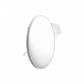 Светильник ДБО-90-10-001 RCD 865 (1157410001)