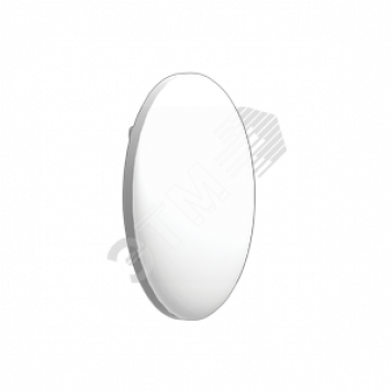 Светильник ДБО-90-10-001 RCD 865 (1157410001)