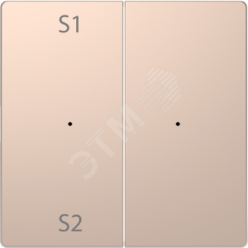 Клавиша D-Life PlusLink 2-ная с S1/S2 пусто шампань SD (MTN5226-6051)