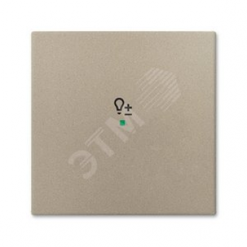 SRD-1-93 Клавиша одинарная free@home, светорегулятор, Basic 55, цвет шампань (SRD-1-93)