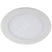 Светильник LED 1-6-6K/1 Светильник светодиодный круглый LED 6W 220V 6500K LED 1-6-6K/1 ЭРА (Б0046904)