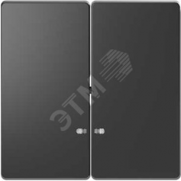 Клавиша двойная D-Life с линзой для LED модуля антрацит SD (MTN3420-6034)