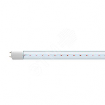 Лампа светодиодная LED 16Вт Т8 для растений прозрачная 1200 мм G13 jazzway