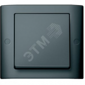 Aquades Клавиша 1шт IP44 антрацит