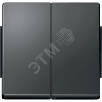 Aquades Клавиша 2шт IP44 антрацит