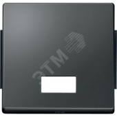 Aquades Клавиша 1шт с подсветкой IP44 антрацит (MTN343814)