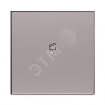 SRS-1-85PL Клавиша одинарная free@home, SKY, сцена, серебристая (SRS-1-85PL)