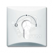 Накладка для выключателя с замком (IP44) Allwetter 44 белый (2155 SLPZ-32)
