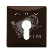 ALLWETTER Накладка для выключателя жалюзи с замком IP44 коричневый (2155 PZ-31)