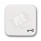 Клавиша с символом ключ Reflex SI альпийский белый (2520 TR-214)