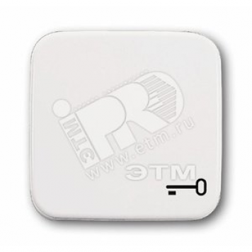 Клавиша с символом ключ Reflex SI альпийский белый (2520 TR-214)