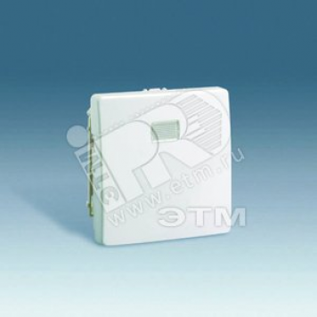Клавиша для 75160- 75804-39 (под пиктограммы 82972- 82982-) S82.82N слоновая кость