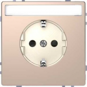 Розетка D-Life 16А с заземляющим контактом и полемдля надписи шампань SD